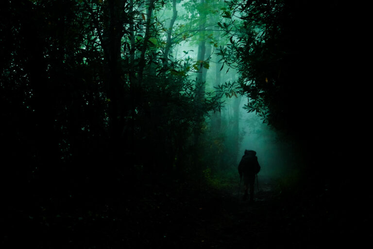 A hiker is seen in silhouette in an evocative, shadowy forest
