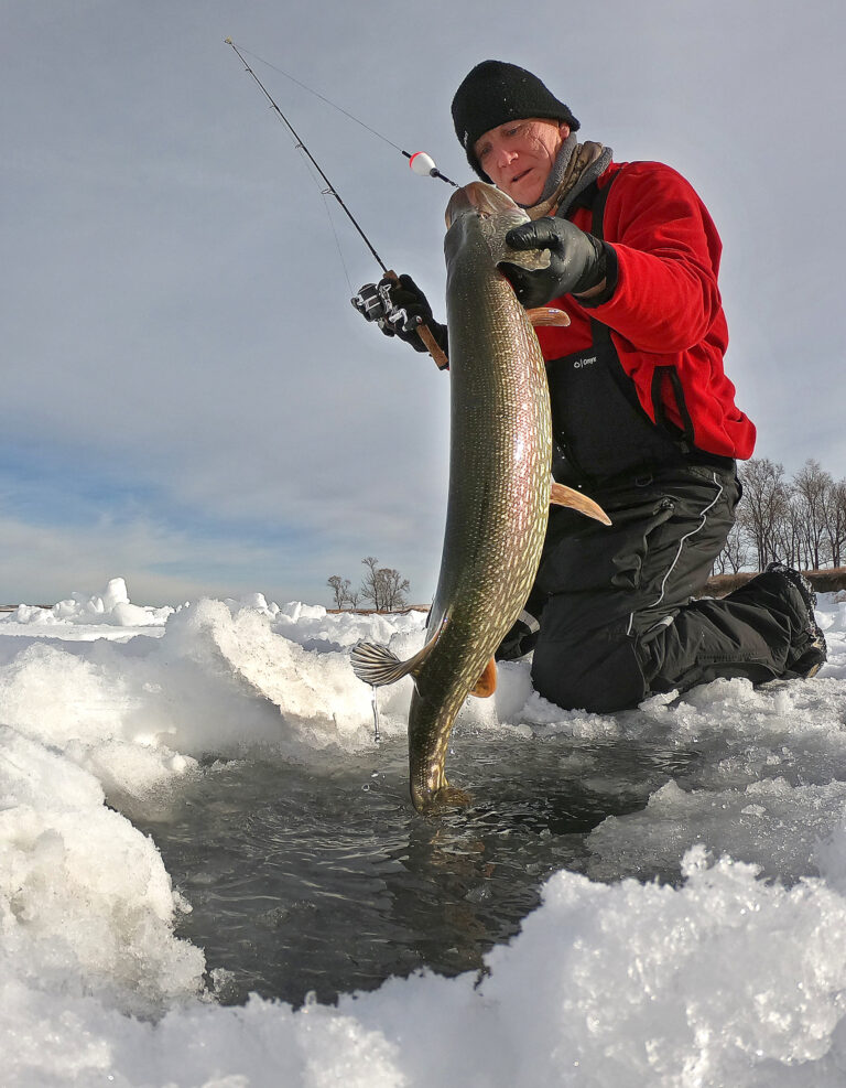 A man pulls a pike from a hole in the ice