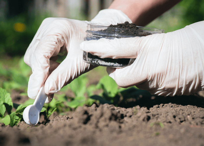 A person wearing white gloves taking environmental samples in dirt.