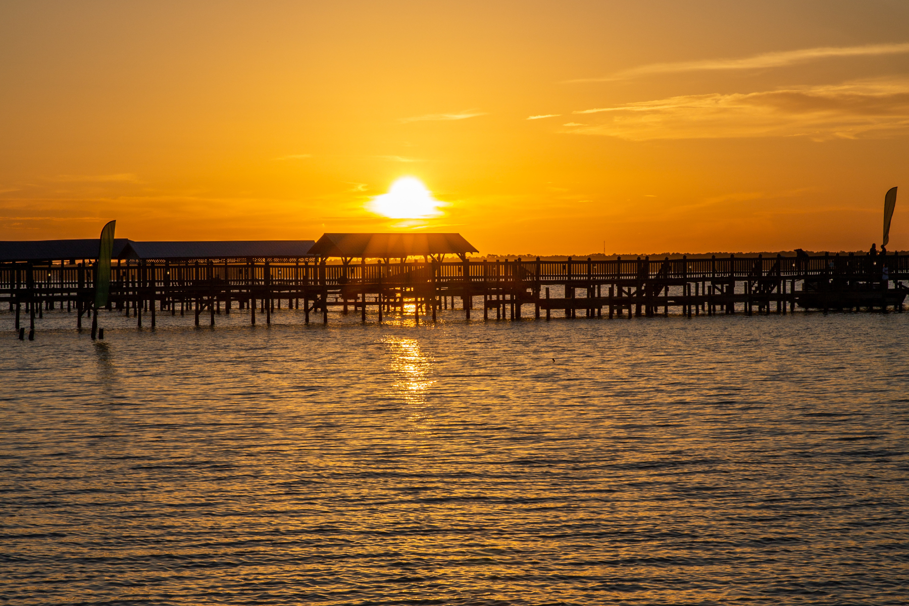 7 picturesque nature spots on the Alabama gulf coast