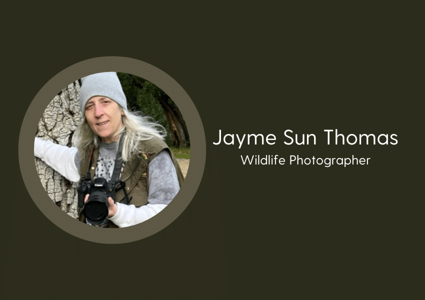 Meet OWAA member Jayme Sun Thomas