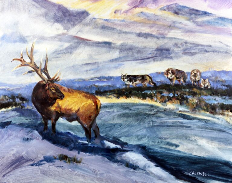 Painting of a elk looking back at four stalking wolves